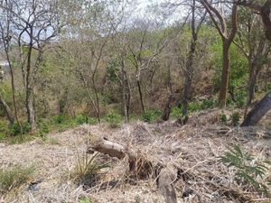 Terreno en Venta en Lomas de Mactumatza Tuxtla Gutiérrez