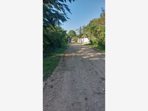 Terreno en Venta en Santa Inés Berriozábal