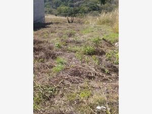 Terreno en Venta en Berriozabal Centro Berriozábal