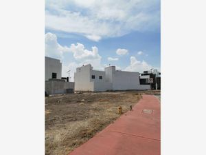 Terreno en Venta en Lombardía Irapuato