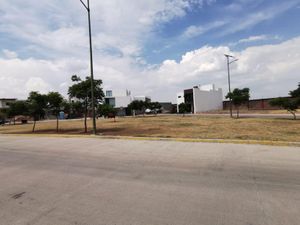 Terreno en Venta en Lombardía Irapuato