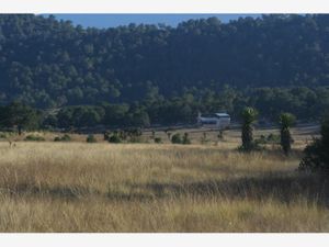 Terreno en Venta en Sierra Hermosa Arteaga