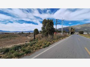 Terreno en Venta en San Antonio de las Alazanas Arteaga