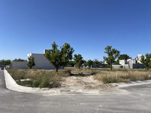 Terreno en Venta en La Aurora Saltillo