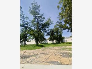 Terreno en Venta en Peña Alta Saltillo