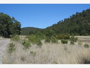 Terreno en Venta en Sierra Hermosa Arteaga