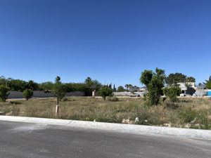 Terreno en Venta en La Aurora Saltillo