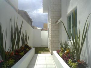 Casa en Renta en San Antonio de Ayala Irapuato