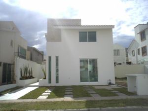 Casa en Renta en San Antonio de Ayala Irapuato