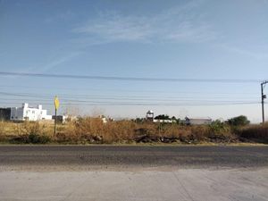 Terreno en Venta en Cuchicuato Irapuato