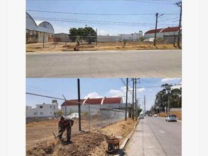 Terreno en Renta en San Lorenzo Almecatla Cuautlancingo