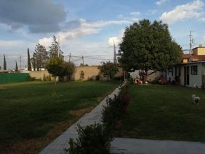 Terreno en Venta en San Bernardino la Trinidad San Andrés Cholula