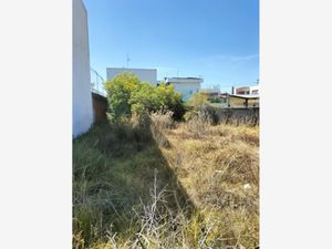 Terreno en Venta en Arboledas de San Ignacio Puebla