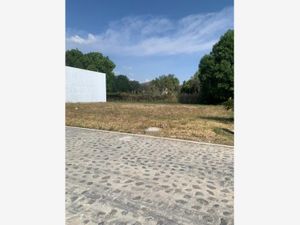 Terreno en Venta en Atlixco Centro Atlixco