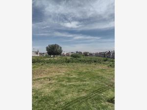 Terreno en Venta en Santa Maria Xixitla San Pedro Cholula