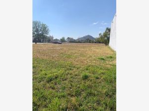 Terreno en Venta en Atlixco Centro Atlixco