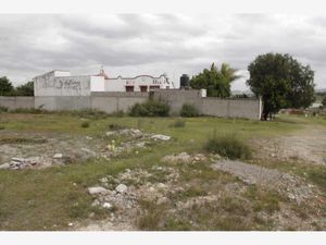 Terreno en Venta en Santo Tomás Chautla (Ixcobenta) Puebla