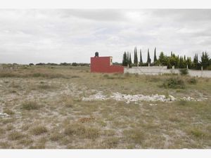 Terreno en Venta en Santo Tomás Chautla (Ixcobenta) Puebla