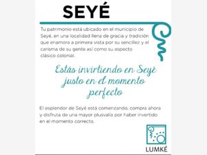 Terreno en Venta en Seye Seyé