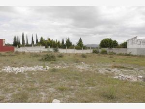 Terreno en Venta en Santo Tomás Chautla (Ixcobenta) Puebla