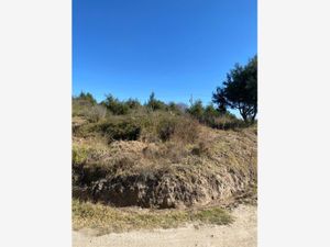 Terreno en Venta en Santa Bárbara Acuicuizcatepec Xaltocan