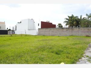 Terreno en Venta en San Martinito San Andrés Cholula