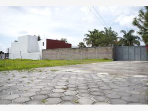 Terreno en Venta en San Martinito San Andrés Cholula