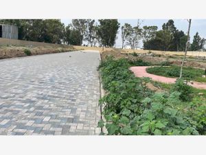 Terreno en Venta en Llanos de Jesús Tlatempa San Pedro Cholula