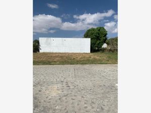 Terreno en Venta en Atlixco Centro Atlixco