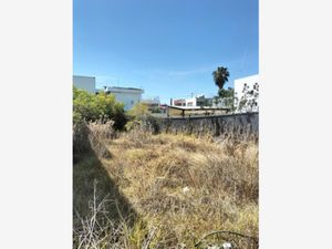 Terreno en Venta en Arboledas de San Ignacio Puebla