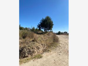 Terreno en Venta en Santa Bárbara Acuicuizcatepec Xaltocan