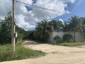 Terreno en Venta en Puerto Morelos Puerto Morelos