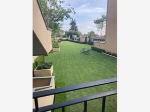 Departamento en Renta en Lomas de Memetla Cuajimalpa de Morelos