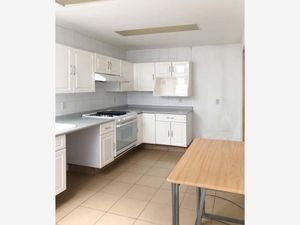 Departamento en Renta en San Jose de los Cedros Cuajimalpa de Morelos