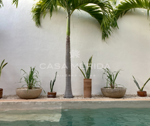 Paraíso tropical en Mérida. Casa renovada con piscina, energía solar y más. YBL-