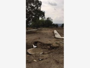 Terreno en Venta en San Diego Metepec Tlaxcala