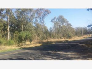 Terreno en Venta en San Diego Metepec Tlaxcala