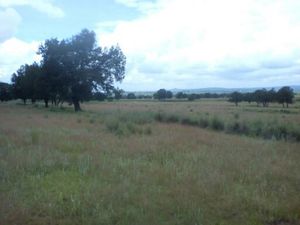 Terreno en Venta en La Trasquila Atlangatepec