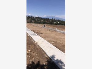 Terreno en Venta en San Diego Metepec Tlaxcala