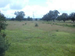 Terreno en Venta en La Trasquila Atlangatepec