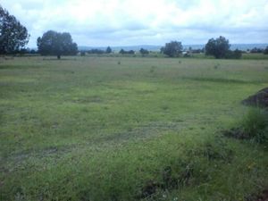 Terreno en Venta en La Trasquila Atlangatepec