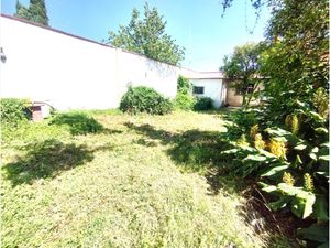 Bodega en Renta en Los Olivos Tláhuac