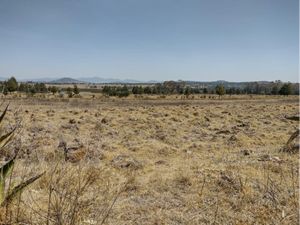 Terreno en Venta en San Isidro Chipila Muñoz de Domingo Arenas