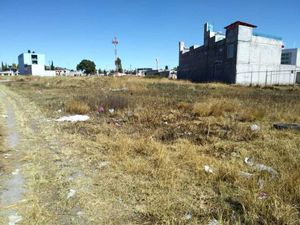 Terreno en Venta en San Benito Xaltocan Yauhquemehcan