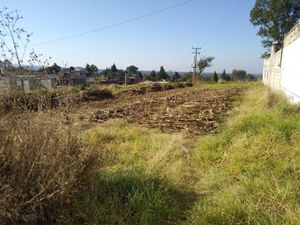 Terreno en Venta en San Salvador Tzompantepec Tzompantepec