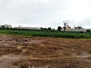 Terreno en Venta en Santa Anita Huamantla