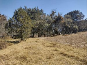 Se vende Terreno para la industrio o vivienda en Yauhquemehcan, Tlax