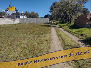 Terreno en Venta en Tetzotzocola Santa Cruz Tlaxcala
