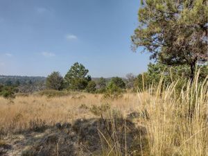 Terreno en Venta en San Francisco Tlacuilohcan Yauhquemehcan