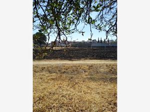 Terreno en Venta en San Benito Xaltocan Yauhquemehcan